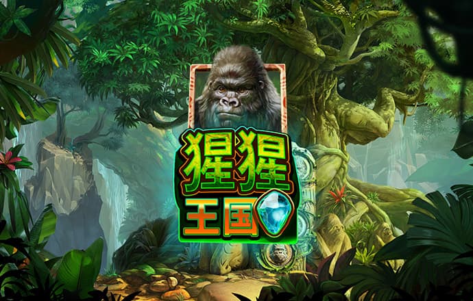b0b体育网页
